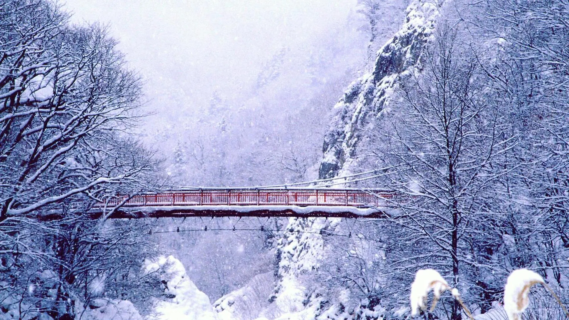 Prima Apartment Sapporo